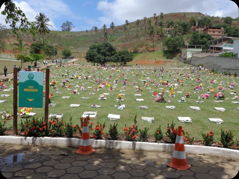 Cemitério parque Plano Vida
